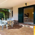 Mimosa 26